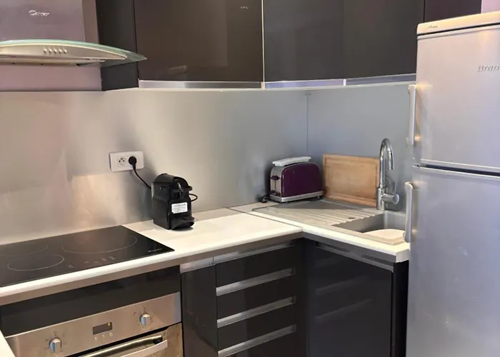 Palais Rouaze-50m De La Croisette * 戛纳